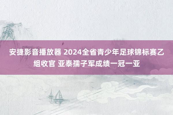 安捷影音播放器 2024全省青少年足球锦标赛乙组收官 亚泰孺子军成绩一冠一亚